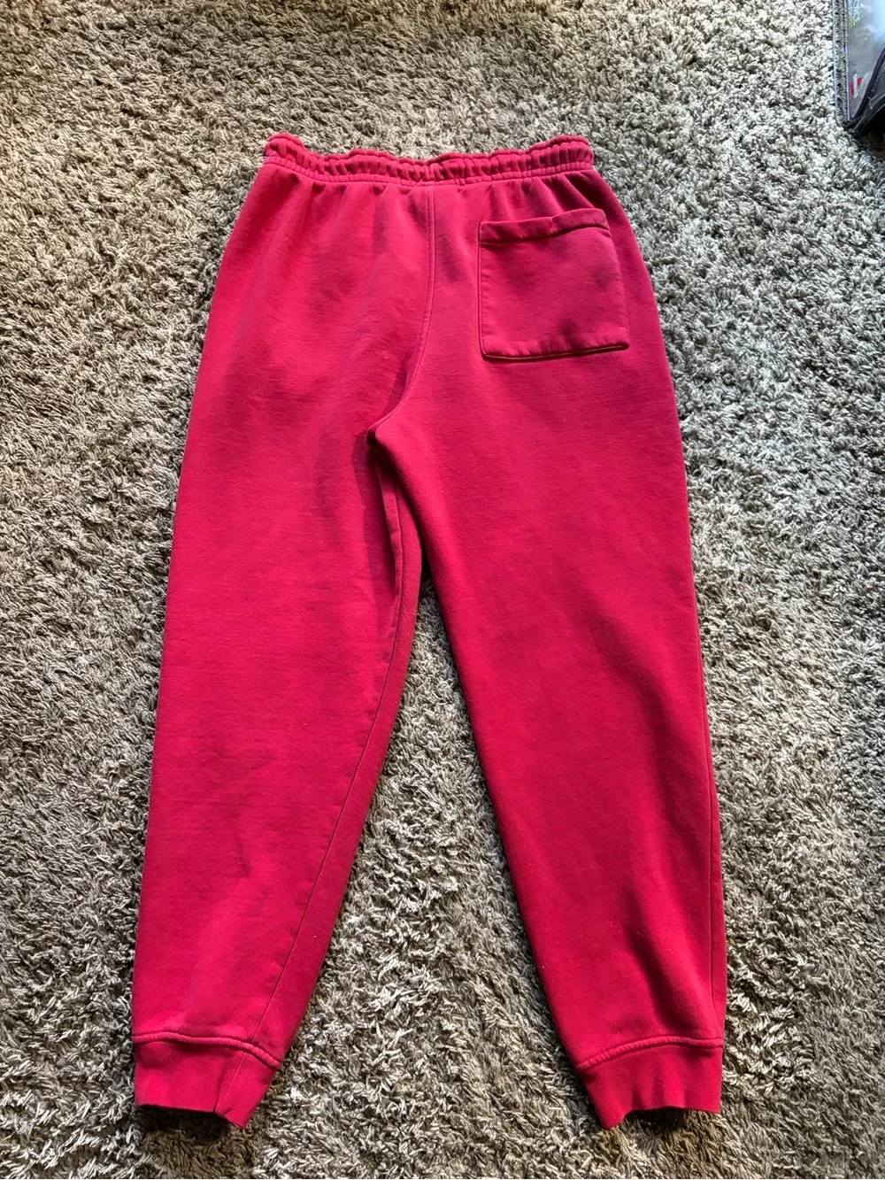 Jordan Red Fleece Jogger Pants